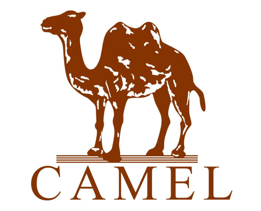 CAMEL骆驼